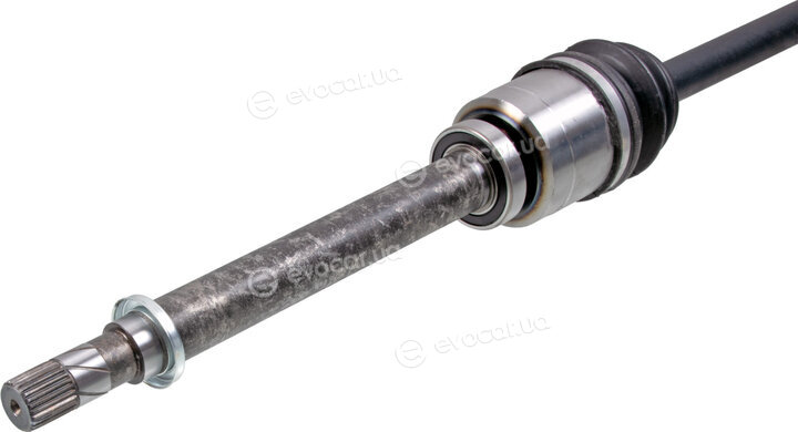 Febi 181274