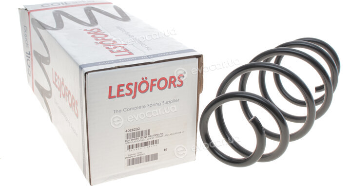 Lesjofors 4026232