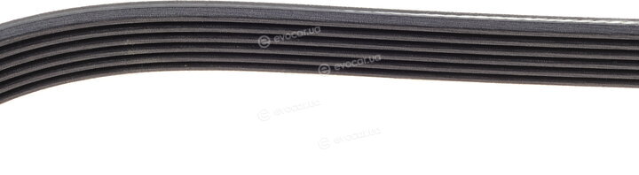 Dayco 6PK1873