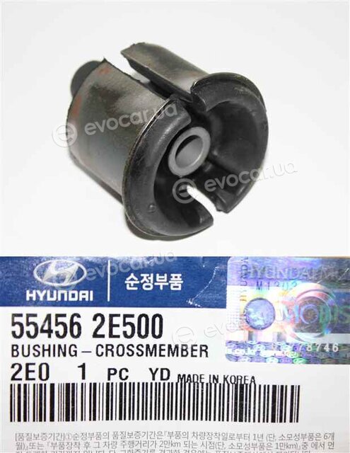 Kia / Hyundai 554562E500
