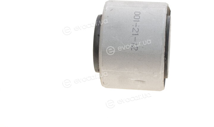 Delphi TD1011W