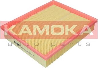 Kamoka F251101
