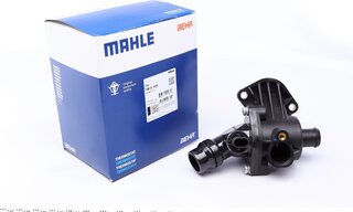 Mahle TM 6 109