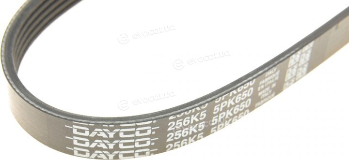 Dayco 5PK650