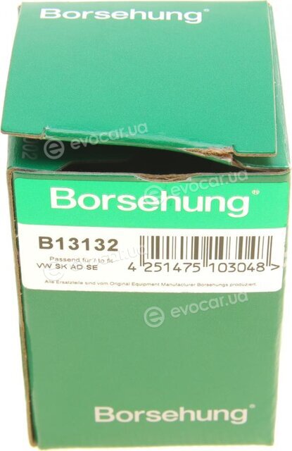 Borsehung B13132