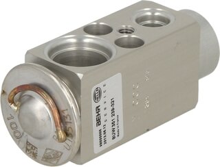 Mahle AVE 98 000P