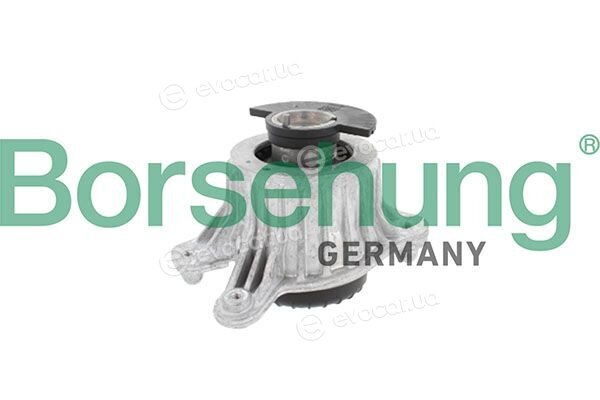 Borsehung B12985