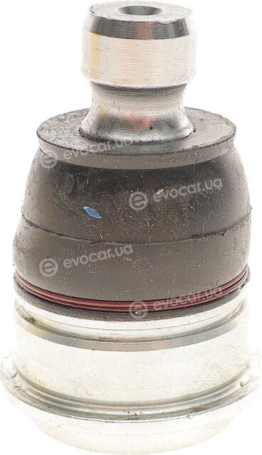 Magneti Marelli 301191619200