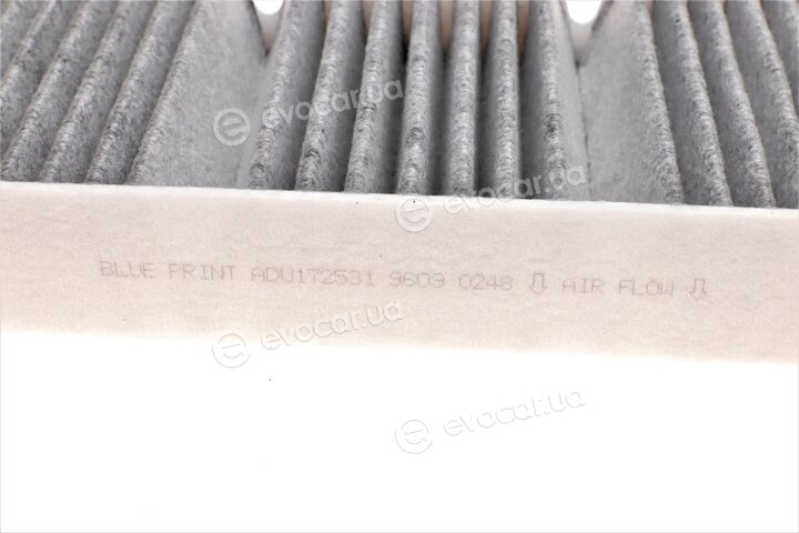 Blue Print ADU172531