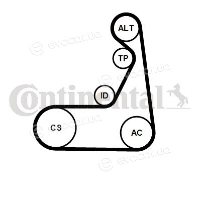 Continental 6PK1173K1