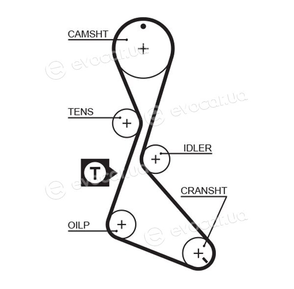 Gates K015370XS