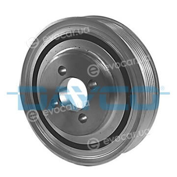Dayco DPV1008