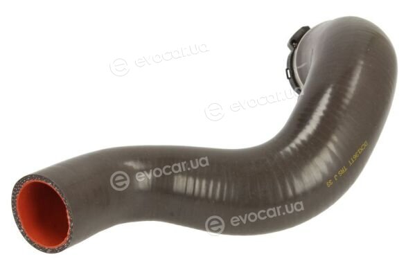 Thermotec DCX136TT