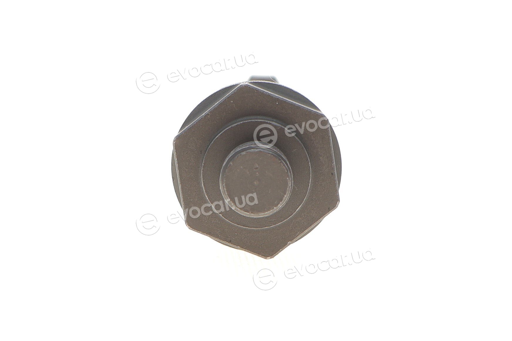 Solgy 205081