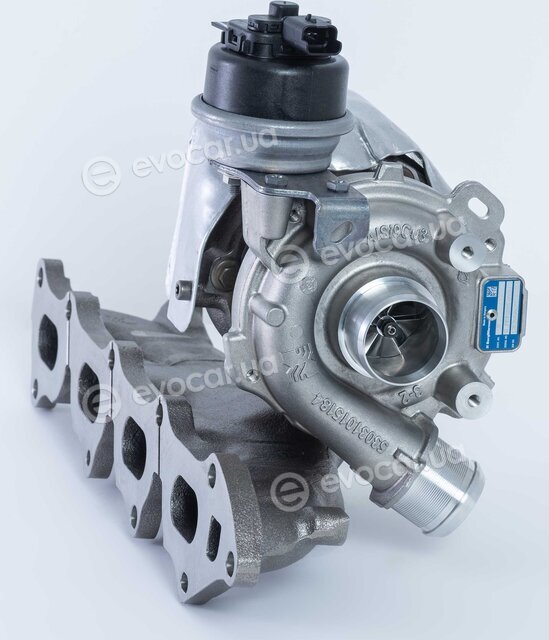 BorgWarner 53039880623