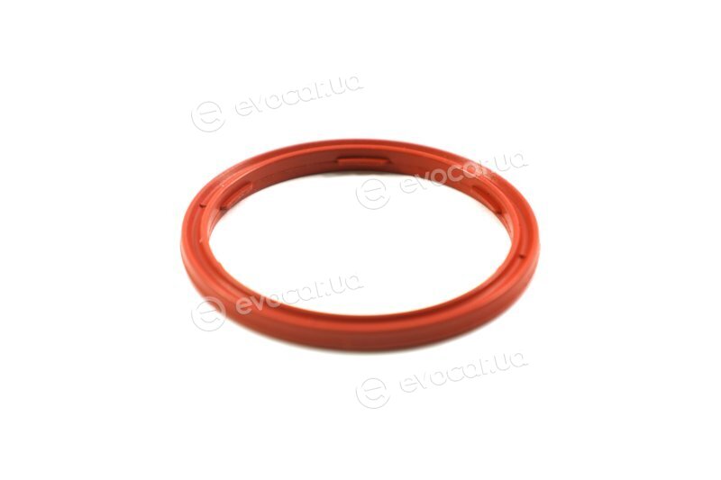 Elring 301.540
