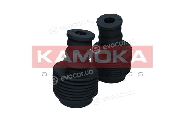 Kamoka 2019236