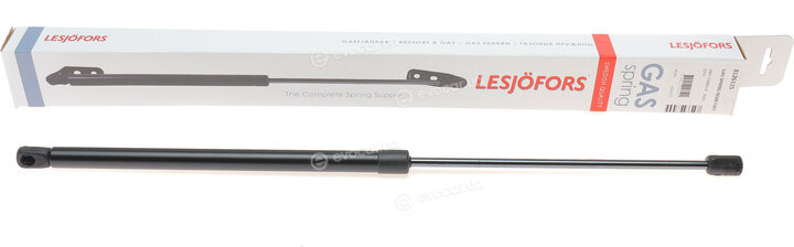 Lesjofors 8126115