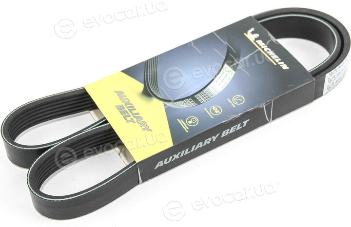 Michelin 6PK1130