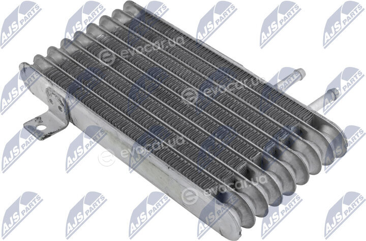 NTY CCL-MS-001