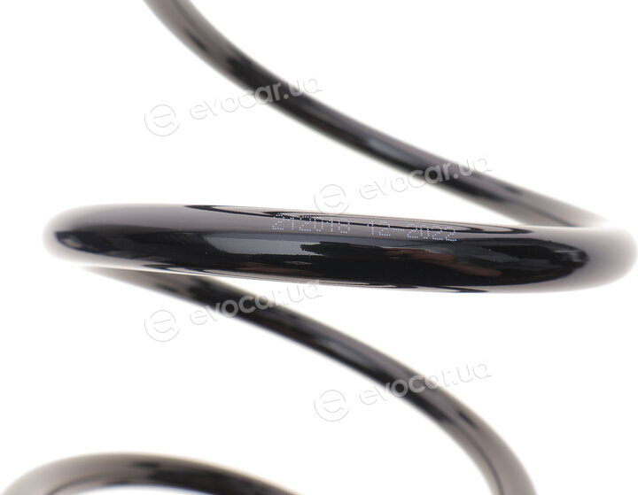 Solgy 212018