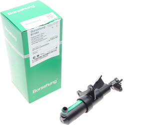 Borsehung B11483