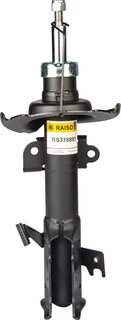 Raiso RS316895