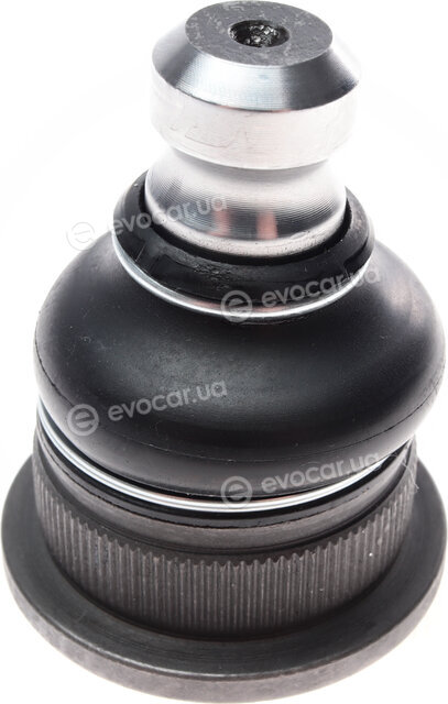 Solgy 203074