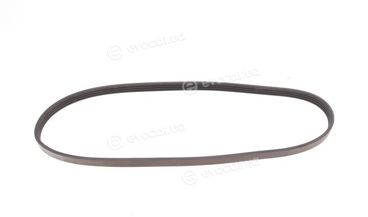 Dayco 4PK872