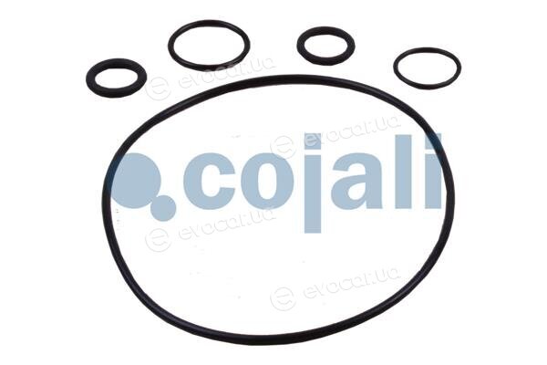 Cojali 6034038