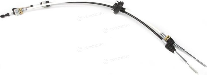 Solgy 119018