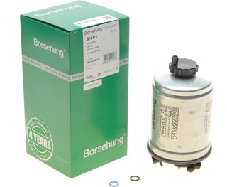 Borsehung B10471