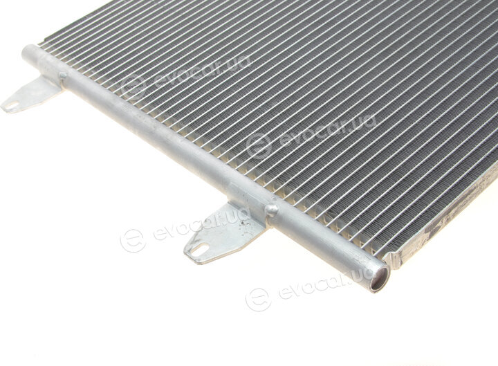 Van Wezel 58005323