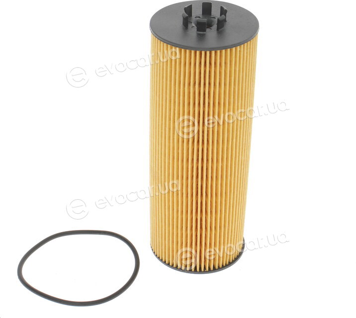 Solgy 101023