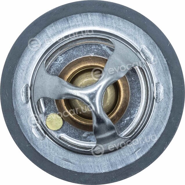 Motorad 530-82K