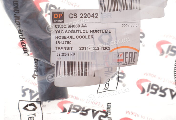 DP CS 22042 NİF