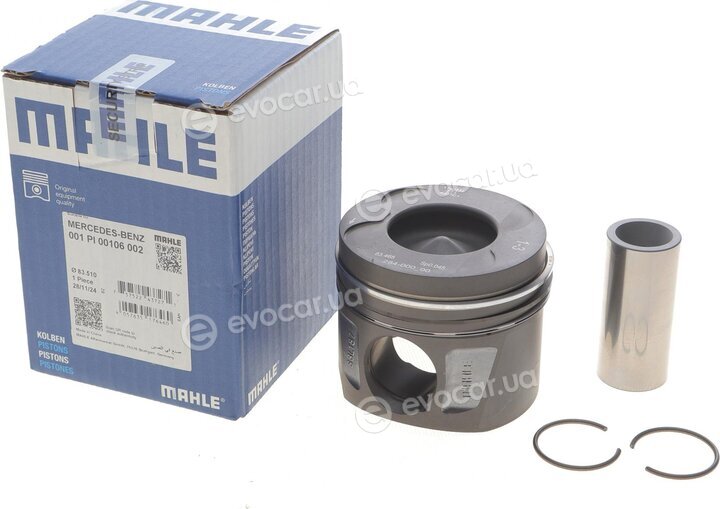 Mahle 001 PI 00106 002