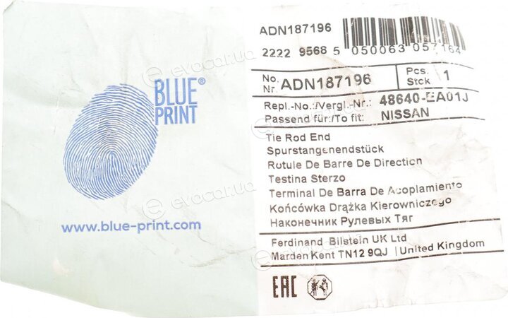 Blue Print ADN187196