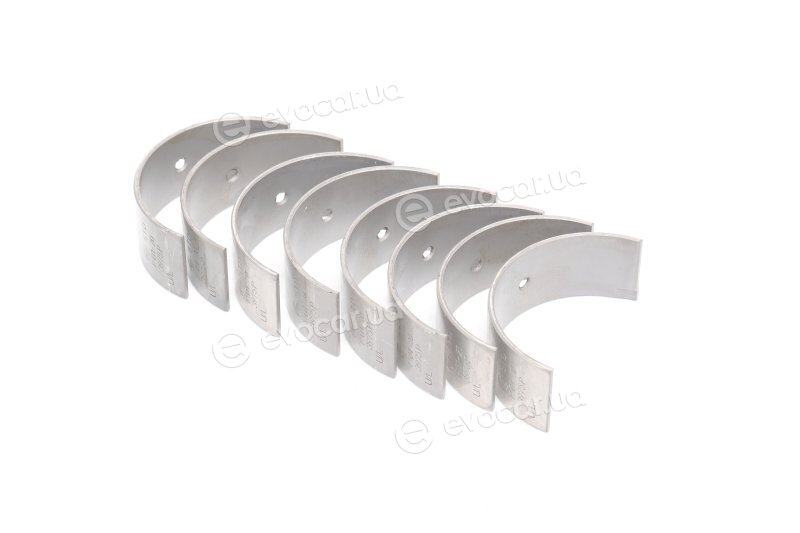 Glyco 71-4278/4 STD