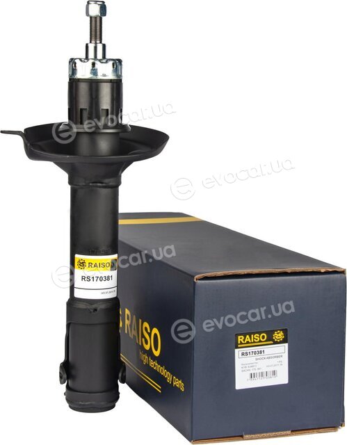 Raiso RS170381