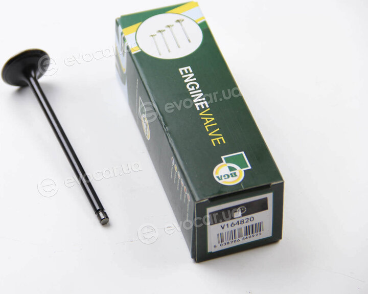 BGA V164820