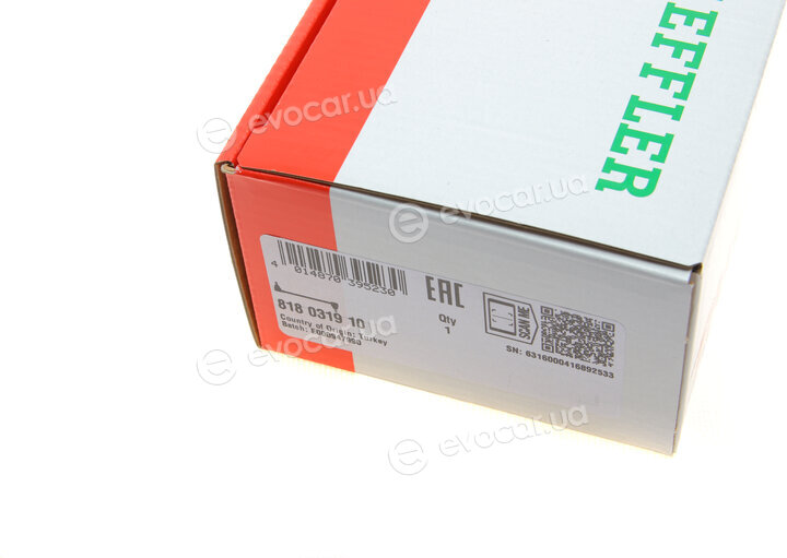 FAG 818 0319 10