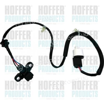 Hoffer 7517548
