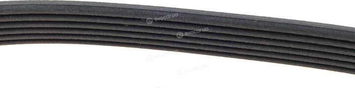 Dayco 6PK2605