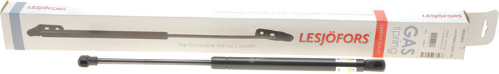 Lesjofors 8095007