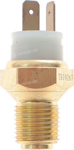 Delphi TS10267