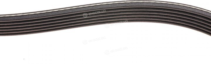 Dayco KPV621