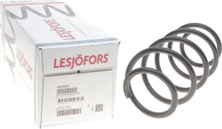 Lesjofors 4004296