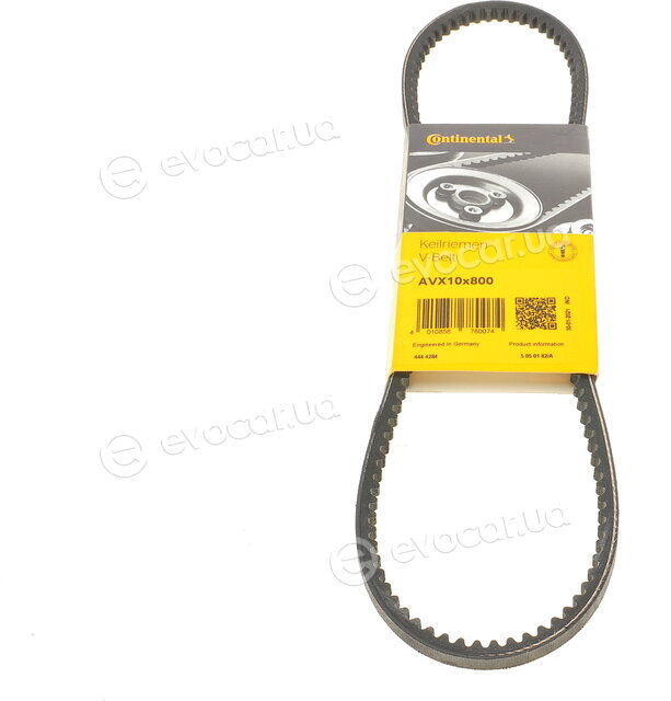 Continental AVX10X800