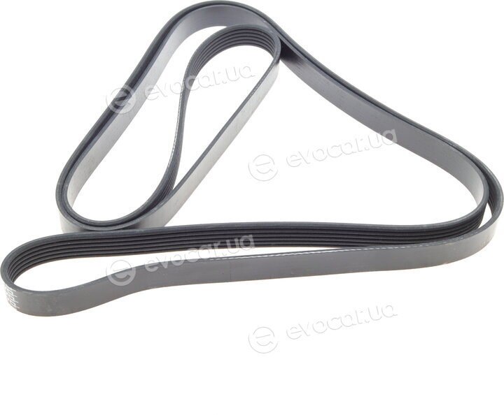 Dayco 6PK2605